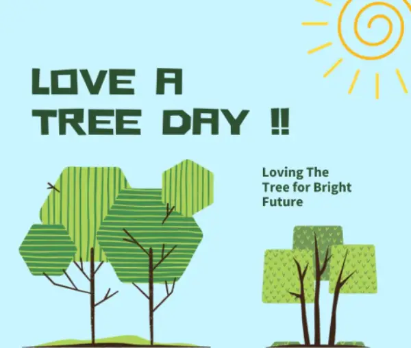 love trees