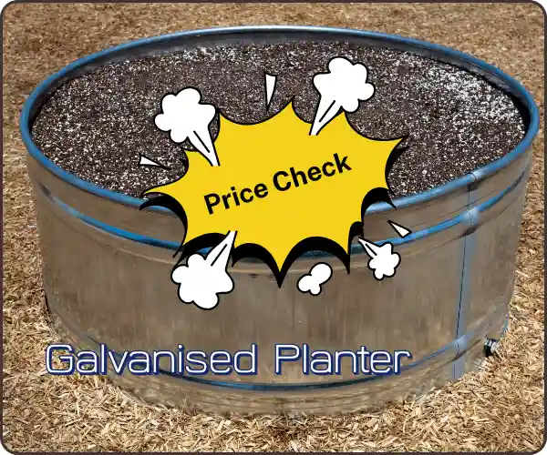 IRON PLANTER